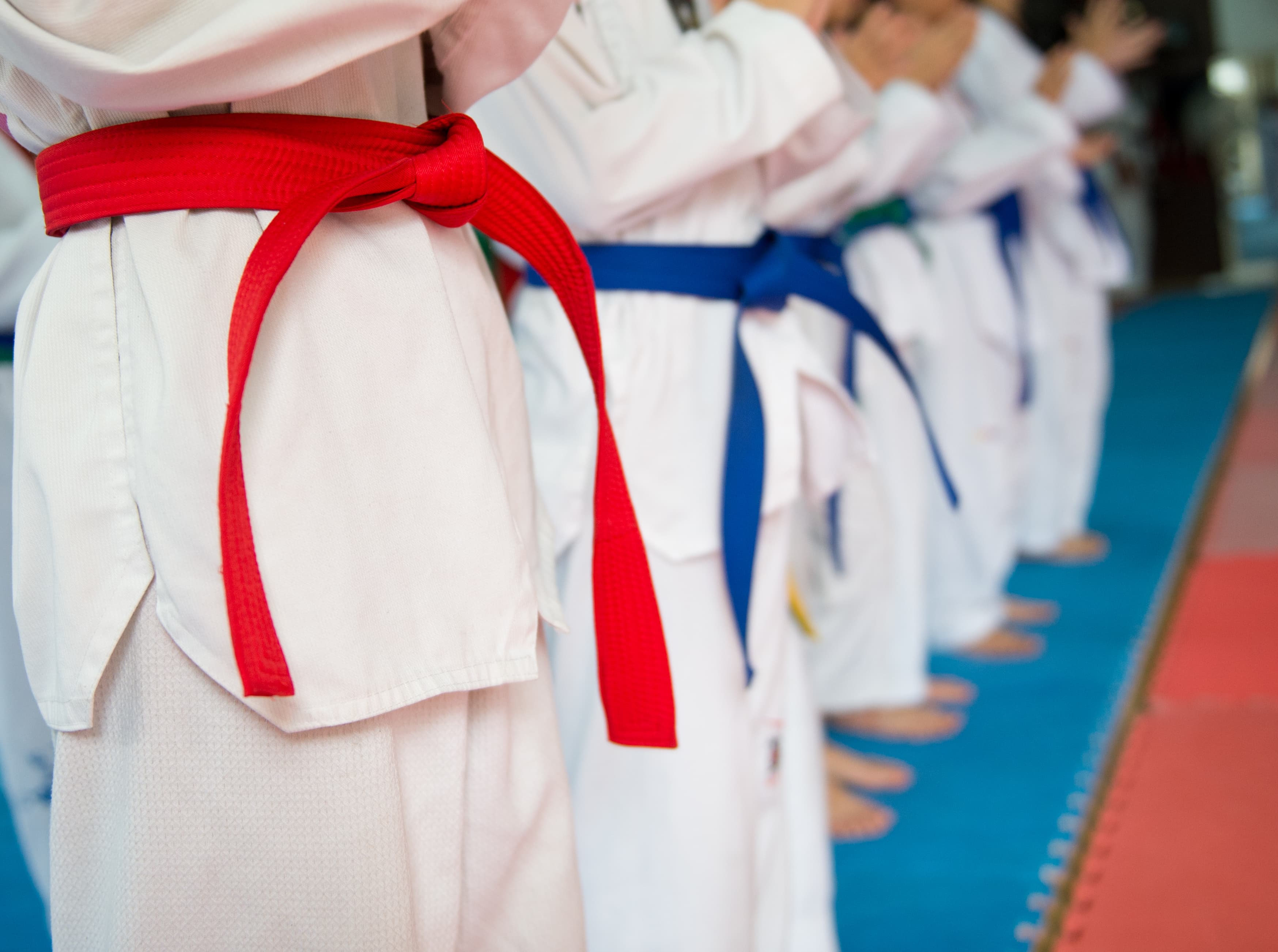ManxTKD training action